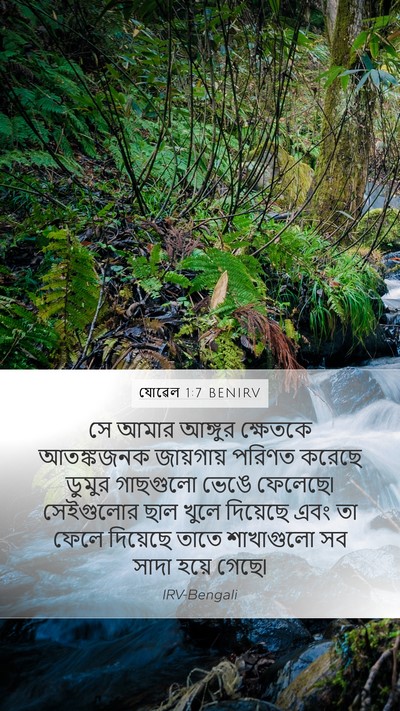 যোৱেল 1:7 BENIRV Bible Verse Image