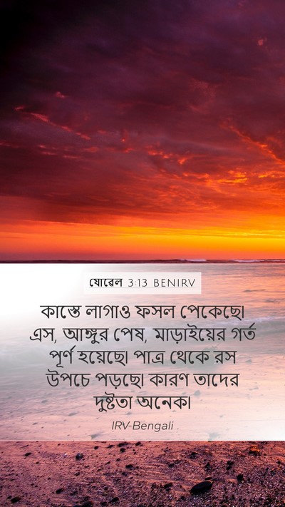 যোৱেল 3:13 BENIRV Bible Verse Image