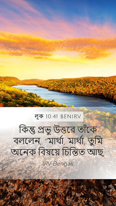 লূক 10:41 BENIRV Mobile Phone Wallpaper - কিন্তু প্রভু - Mobile Bible Verse Wallpaper