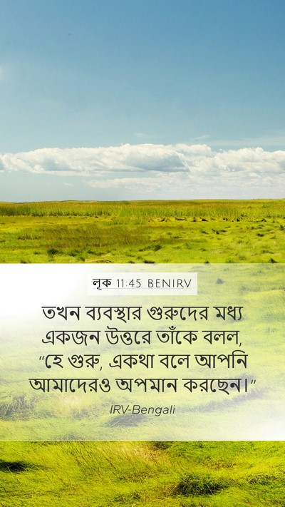 লূক 11:45 BENIRV Bible Verse Image