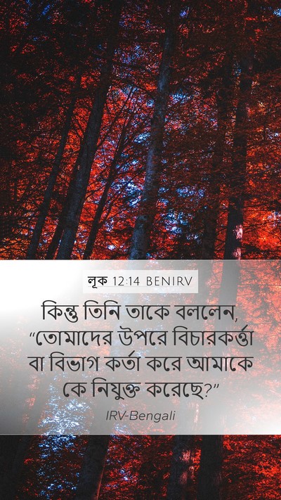 লূক 12:14 BENIRV Mobile Phone Wallpaper - কিন্তু তিনি তাকে - Mobile Bible Verse Wallpaper