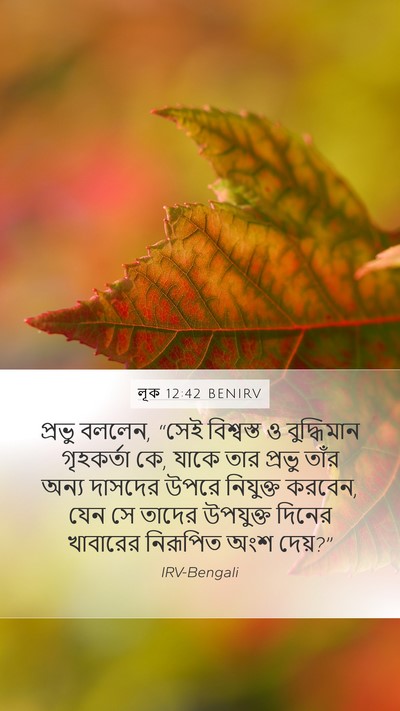 লূক 12:42 BENIRV Bible Verse Image