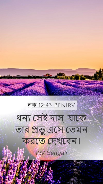লূক 12:43 BENIRV Bible Verse Image