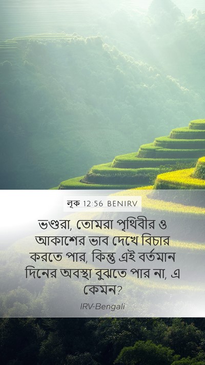 লূক 12:56 BENIRV Bible Verse Image