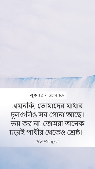 লূক 12:7 BENIRV Mobile Phone Wallpaper - এমনকি, তোমাদের - Mobile Bible Verse Wallpaper
