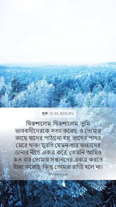 লূক 13:34 BENIRV Bible Verse Image