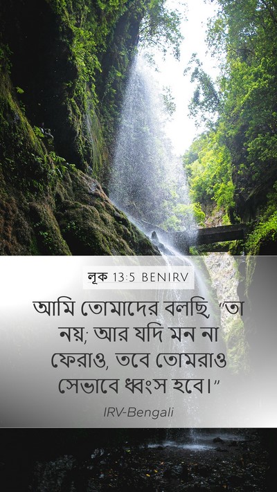 লূক 13:5 BENIRV Bible Verse Image