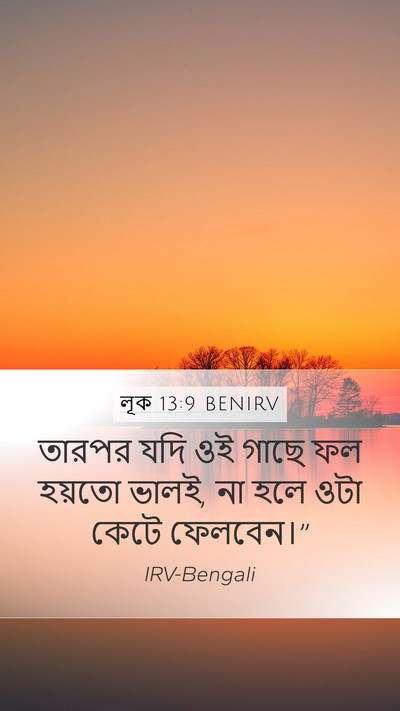 লূক 13:9 BENIRV Bible Verse Image