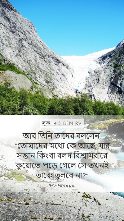 লূক 14:5 BENIRV Bible Verse Image