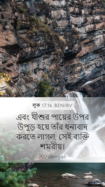 লূক 17:16 BENIRV Mobile Phone Wallpaper - এবং যীশুর পায়ের - Mobile Bible Verse Wallpaper