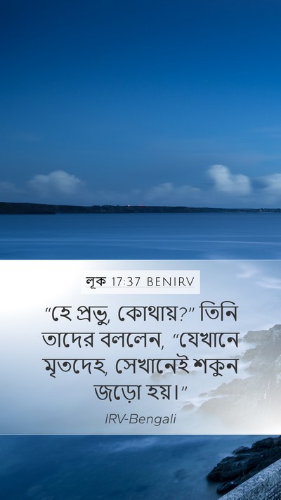 লূক 17:37 BENIRV Mobile Phone Wallpaper - “হে প্রভু, কোথায়?” - Mobile Bible Verse Wallpaper