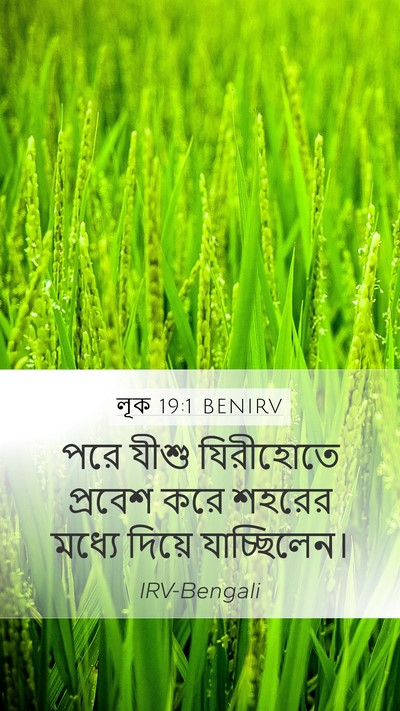 লূক 19:1 BENIRV Mobile Phone Wallpaper - পরে যীশু যিরীহোতে - Mobile Bible Verse Wallpaper