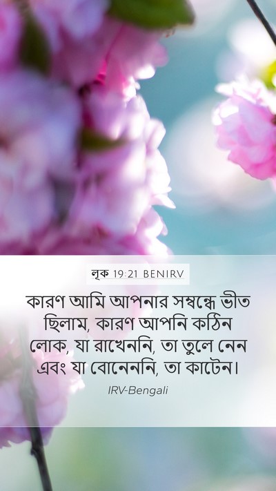 লূক 19:21 BENIRV Bible Verse Image