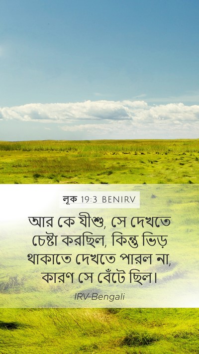 লূক 19:3 BENIRV Mobile Phone Wallpaper - আর কে যীশু, সে - Mobile Bible Verse Wallpaper