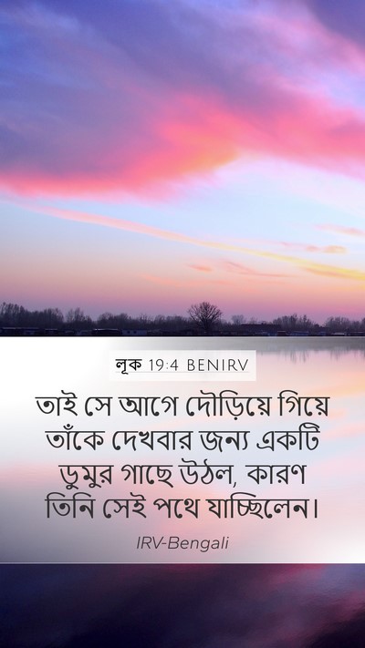 লূক 19:4 BENIRV Mobile Phone Wallpaper - তাই সে আগে - Mobile Bible Verse Wallpaper