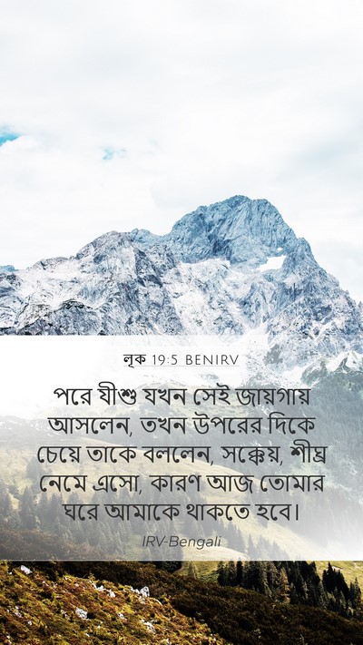 লূক 19:5 BENIRV Bible Verse Image