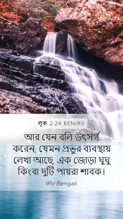 লূক 2:24 BENIRV Mobile Phone Wallpaper - আর যেন বলি উৎসর্গ - Mobile Bible Verse Wallpaper