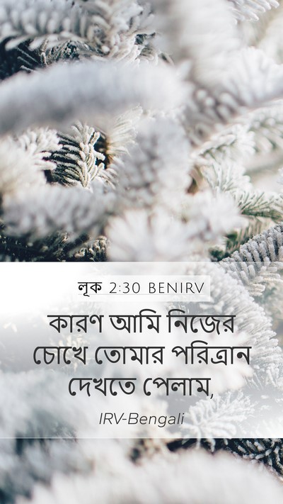 লূক 2:30 BENIRV Bible Verse Image