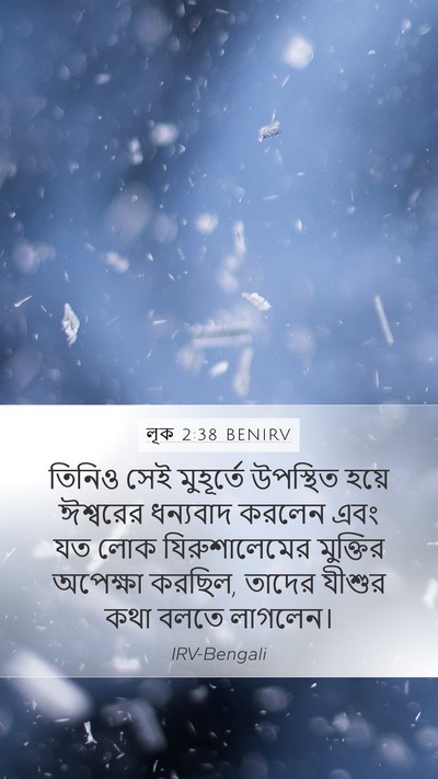 লূক 2:38 BENIRV Bible Verse Image