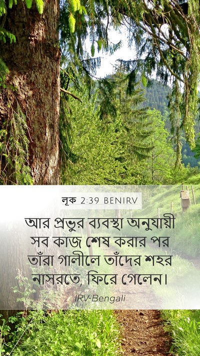 লূক 2:39 BENIRV Bible Verse Image