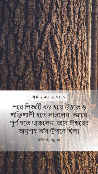 লূক 2:40 BENIRV Bible Verse Image