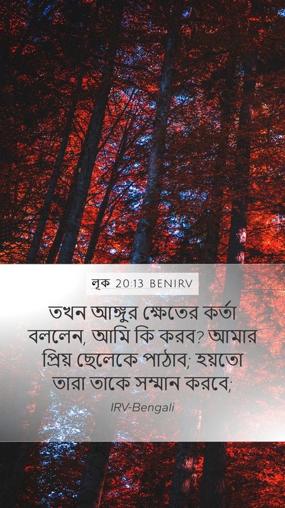 লূক 20:13 BENIRV Mobile Phone Wallpaper - তখন আঙ্গুর - Mobile Bible Verse Wallpaper