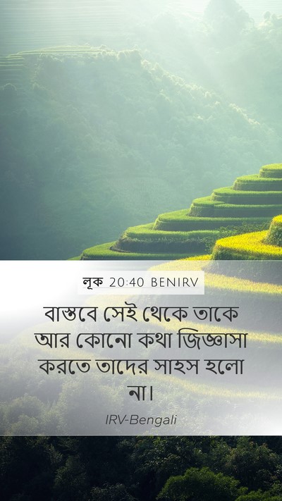 লূক 20:40 BENIRV Bible Verse Image