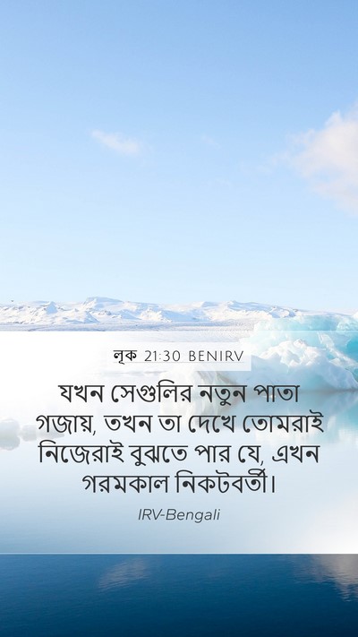 লূক 21:30 BENIRV Bible Verse Image