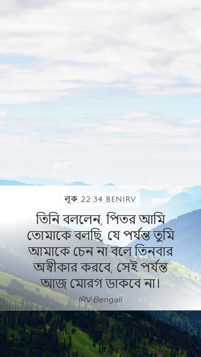 লূক 22:34 BENIRV Bible Verse Image
