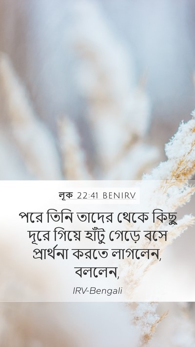 লূক 22:41 BENIRV Bible Verse Image