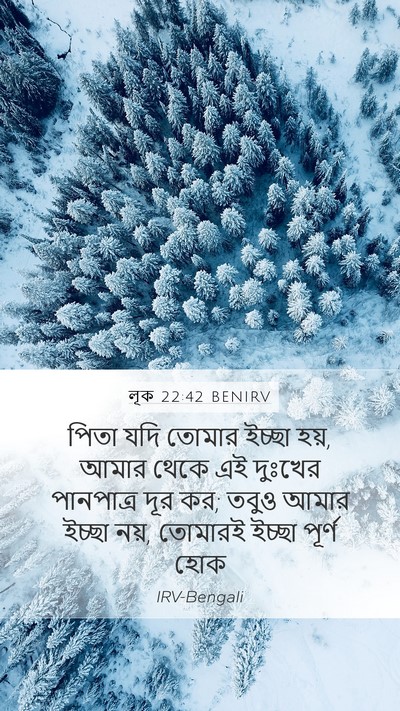 লূক 22:42 BENIRV Mobile Phone Wallpaper - পিতা যদি তোমার - Mobile Bible Verse Wallpaper