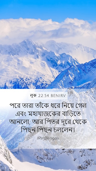 লূক 22:54 BENIRV Bible Verse Image