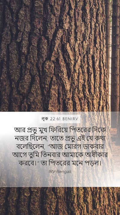 লূক 22:61 BENIRV Mobile Phone Wallpaper - আর প্রভু মুখ - Mobile Bible Verse Wallpaper