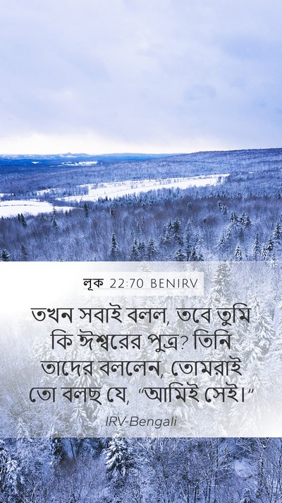 লূক 22:70 BENIRV Mobile Phone Wallpaper - তখন সবাই বলল, তবে - Mobile Bible Verse Wallpaper