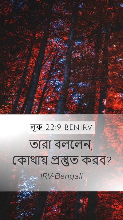 লূক 22:9 BENIRV Mobile Phone Wallpaper - তারা বললেন, কোথায় - Mobile Bible Verse Wallpaper