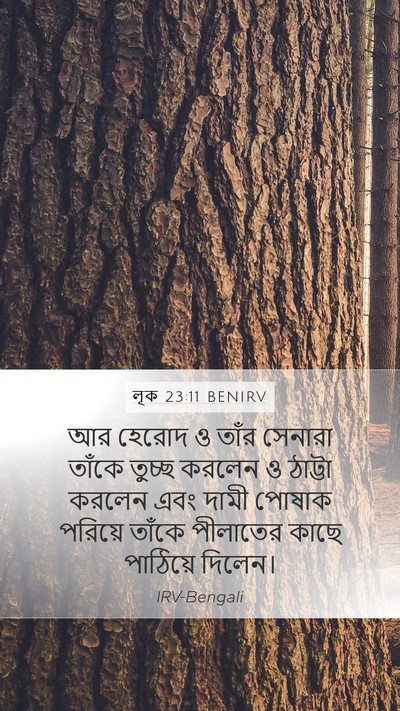 লূক 23:11 BENIRV Bible Verse Image
