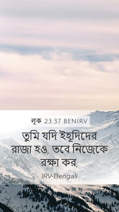 লূক 23:37 BENIRV Bible Verse Image