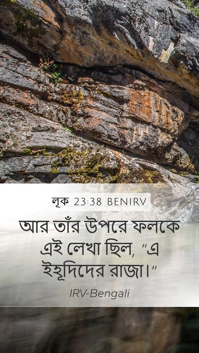 লূক 23:38 BENIRV Mobile Phone Wallpaper - আর তাঁর উপরে ফলকে - Mobile Bible Verse Wallpaper