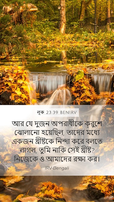 লূক 23:39 BENIRV Bible Verse Image