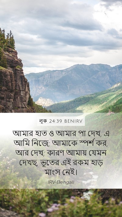 লূক 24:39 BENIRV Bible Verse Image