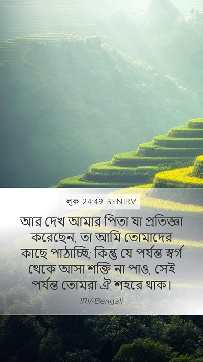 লূক 24:49 BENIRV Bible Verse Image