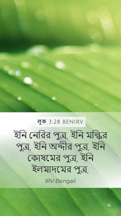 লূক 3:28 BENIRV Mobile Phone Wallpaper - ইনি নেরির পুত্র, - Mobile Bible Verse Wallpaper