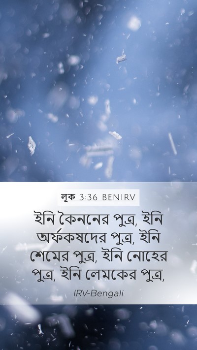 লূক 3:36 BENIRV Bible Verse Image