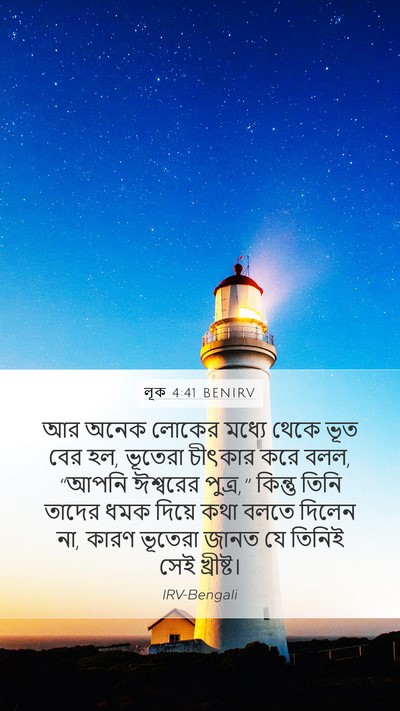 লূক 4:41 BENIRV Bible Verse Image