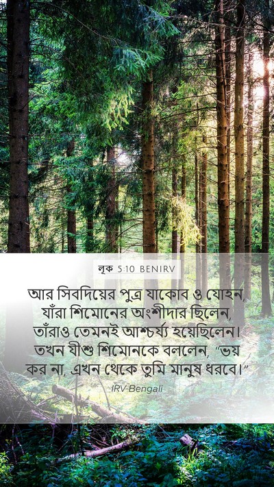 লূক 5:10 BENIRV Bible Verse Image