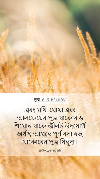 লূক 6:15 BENIRV Bible Verse Image