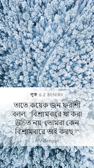 লূক 6:2 BENIRV Mobile Phone Wallpaper - তাতে কয়েক জন - Mobile Bible Verse Wallpaper