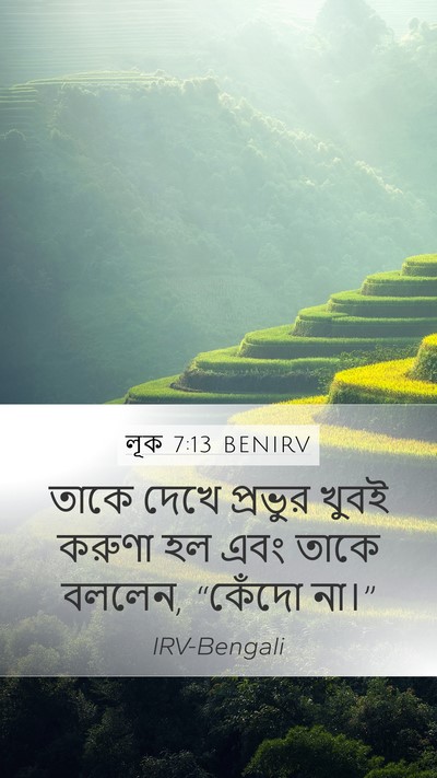 লূক 7:13 BENIRV Bible Verse Image