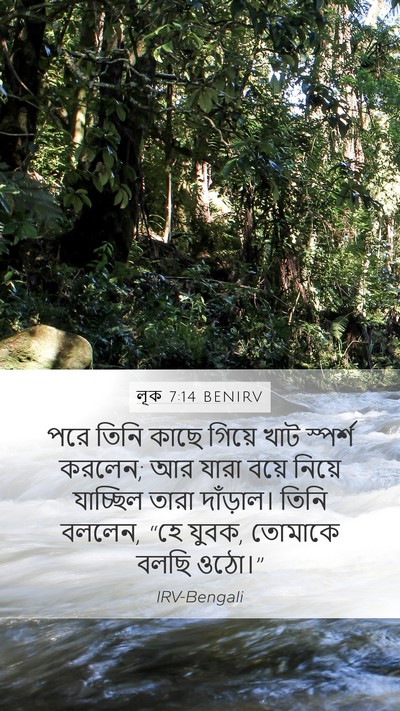 লূক 7:14 BENIRV Bible Verse Image