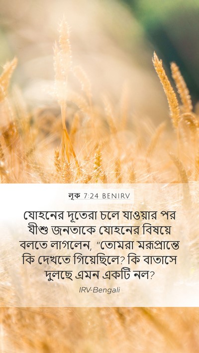 লূক 7:24 BENIRV Bible Verse Image